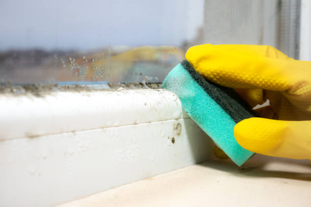 Best Residential Mold Inspection & Testing  in West Burlington, IA